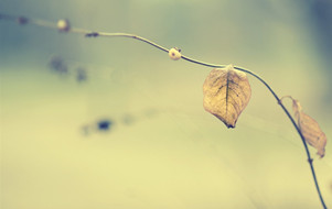 What Makes Modern Online Casinos So Popular